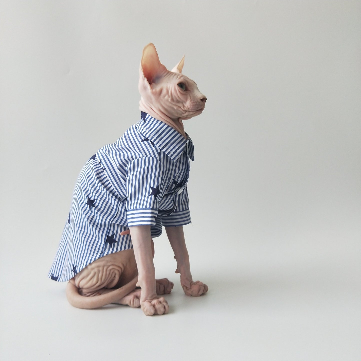 Thin cotton shirts are breathable; cat-themed clothing.