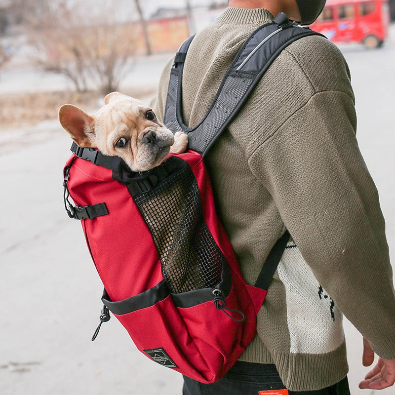 Travel Essentials