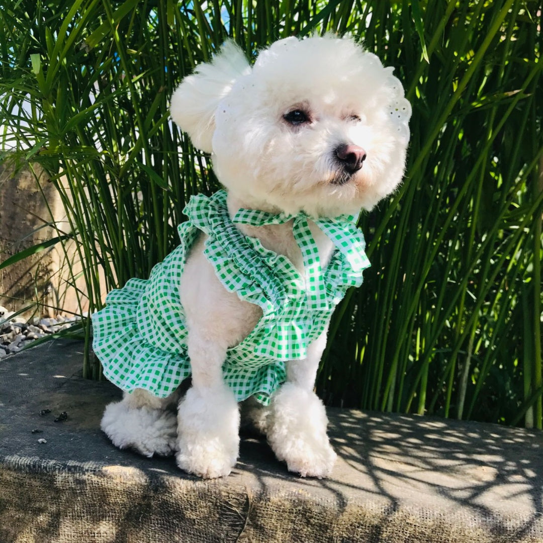 Pet Apparel