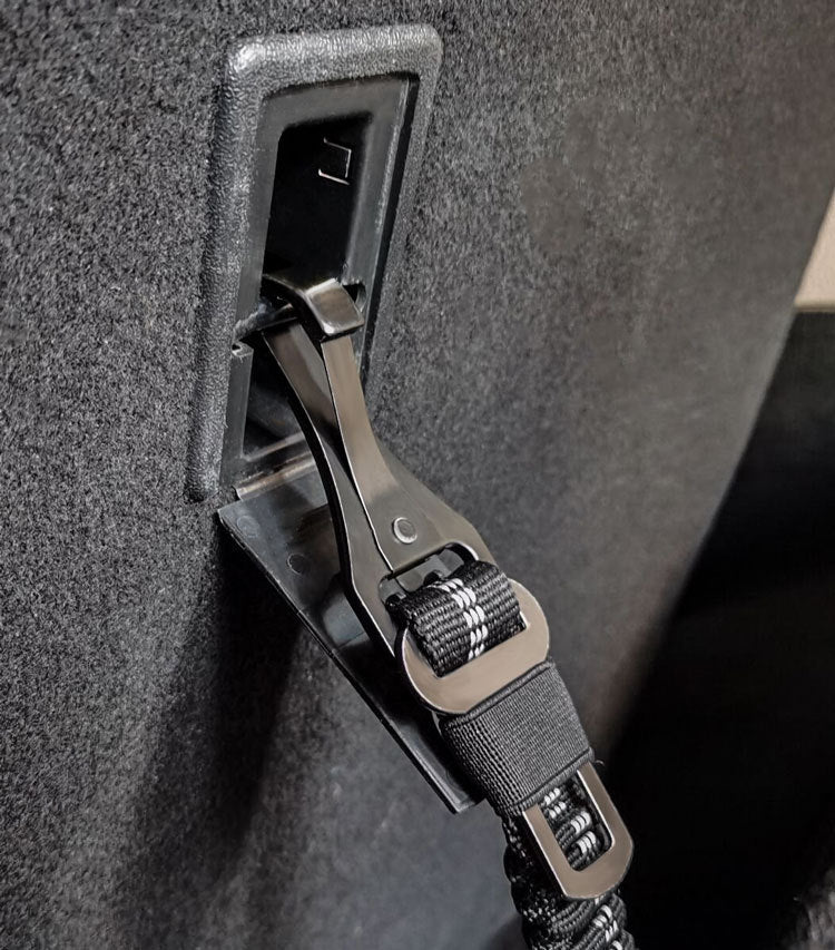Retractable dog leash/car seatbelt