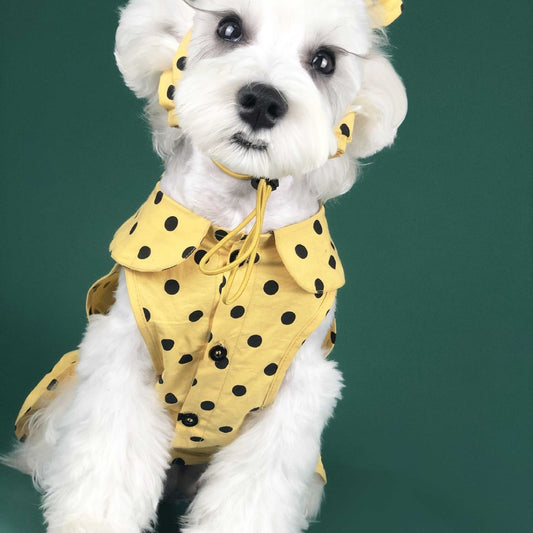 Summer Teddy Schnauzer Corgi Cat Pet Clothing
