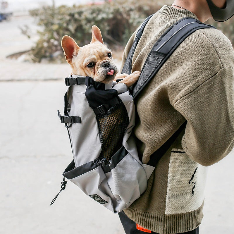 Double-shoulder travel dog carrier