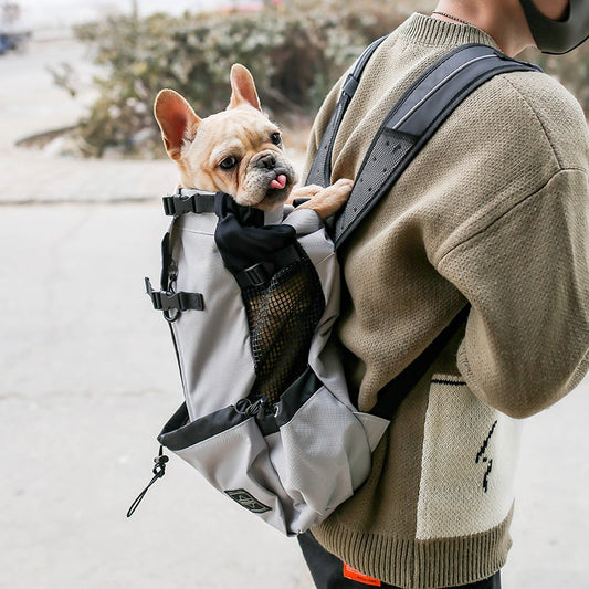 Double-shoulder travel dog carrier