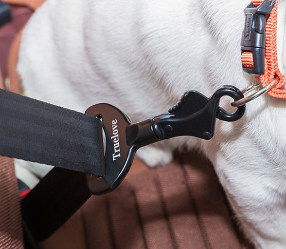 Dog car safety buckle