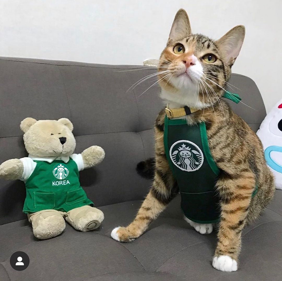Cat work clothes and dog clothes