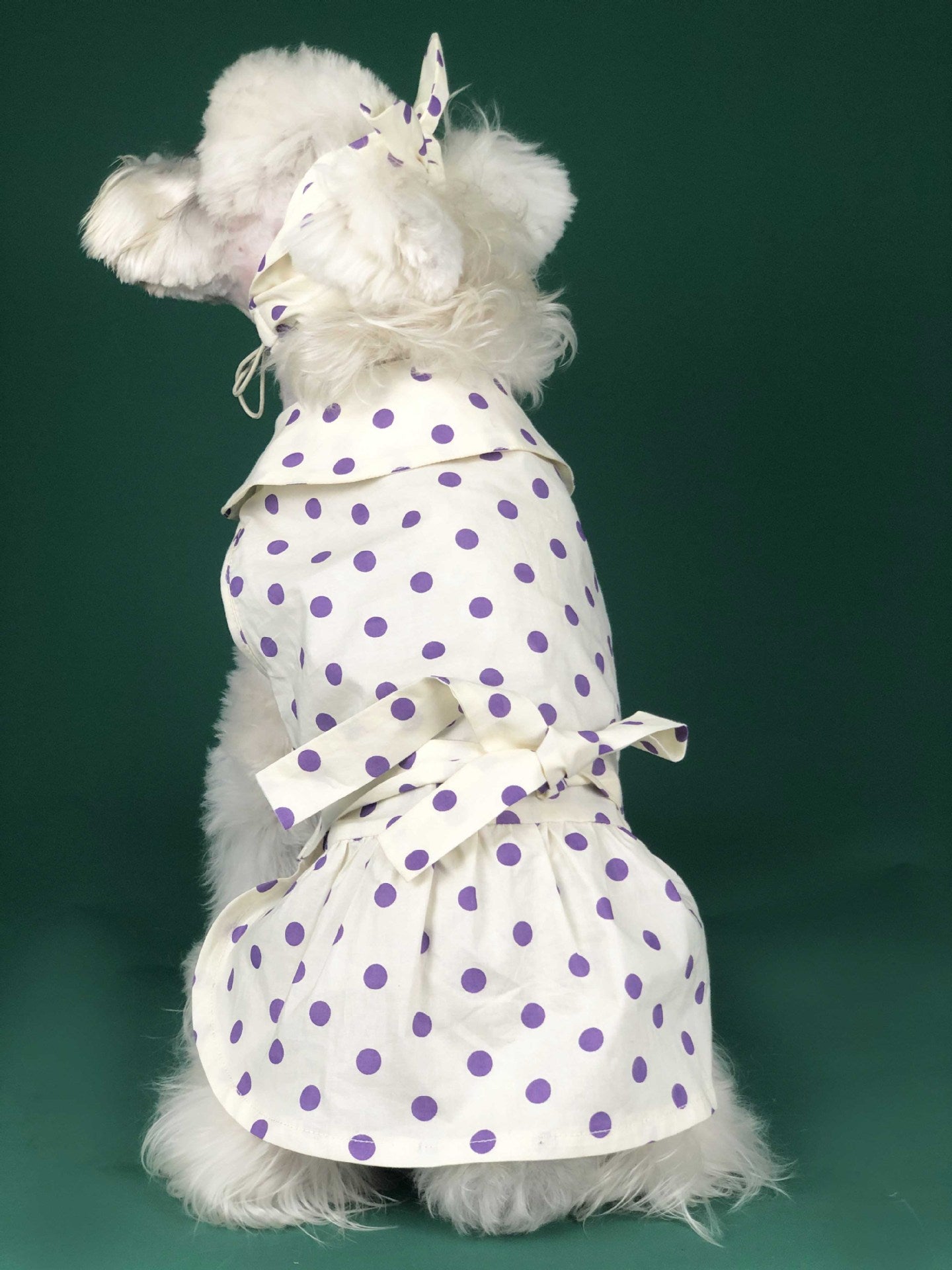 Summer Teddy Schnauzer Corgi Cat Pet Clothing