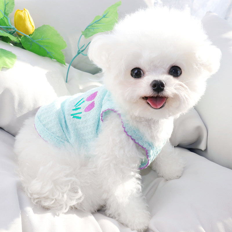 Cat and dog clothing