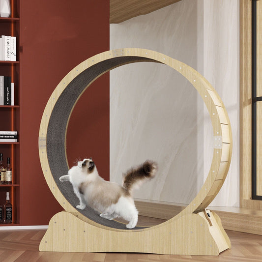 Quiet running wheel toy for cats