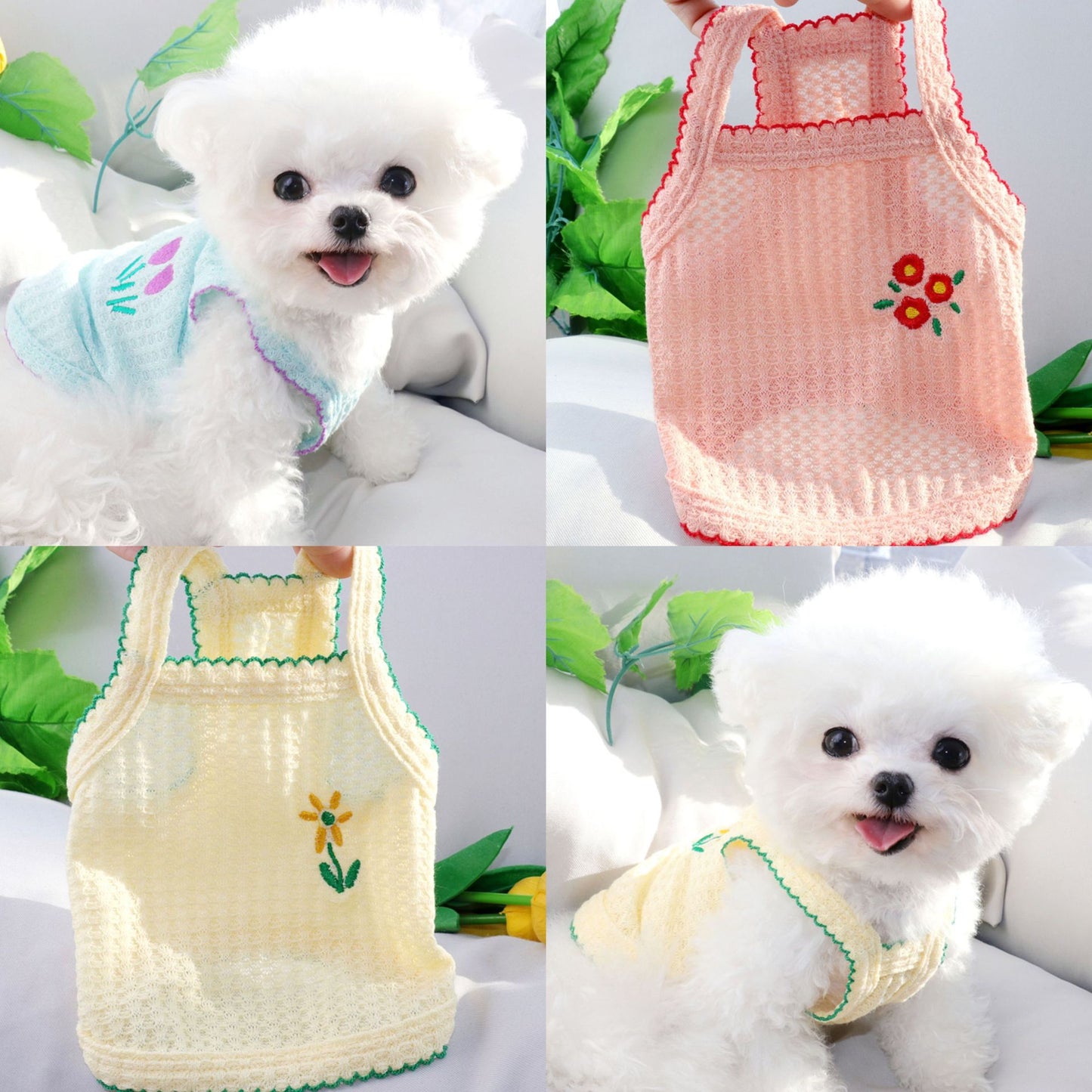 Cat and dog clothing