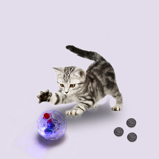 Cat and dog toy balls, light-up transparent balls