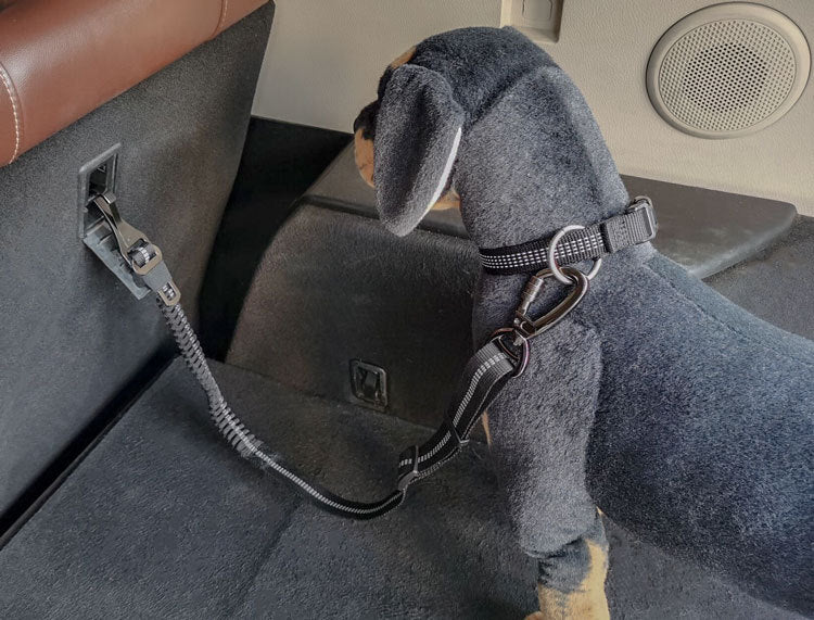 Retractable dog leash/car seatbelt