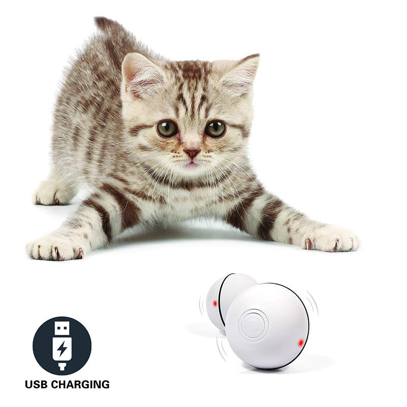 LED Laser Electronic Rolling Pet Fun Cat Toy Ball