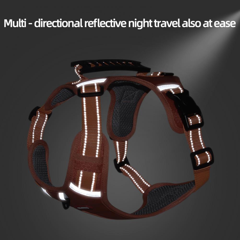 Dog harness, outdoor running training