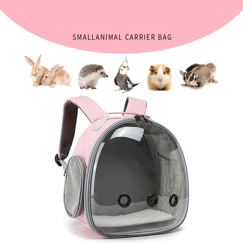 Transparent pet backpack, small animal bag