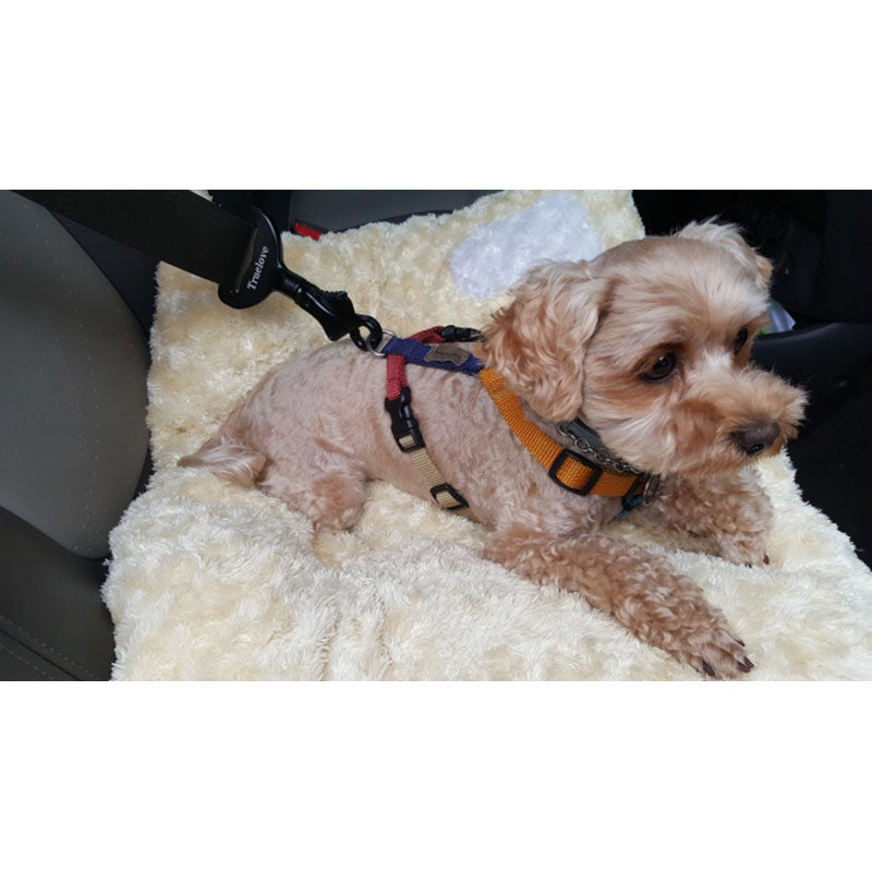 Dog car safety buckle