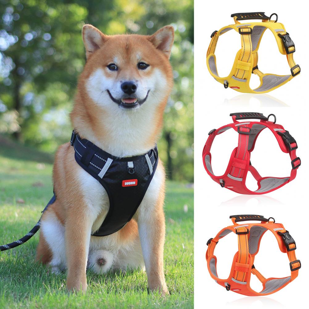 Dog harness, outdoor running training