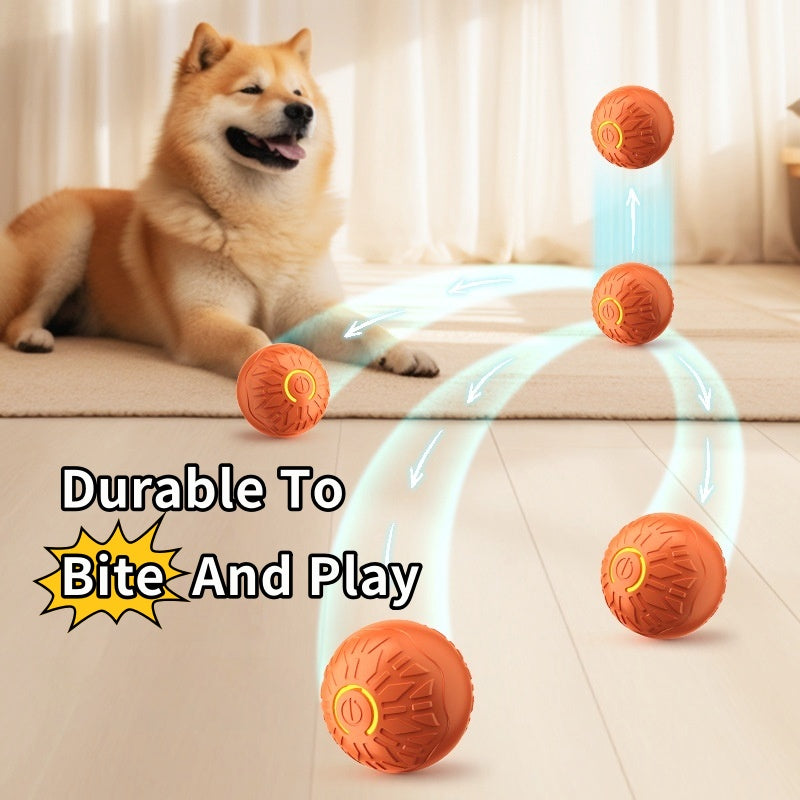 Electric pet bouncing ball, automatic dog-training and light-up pet supplies