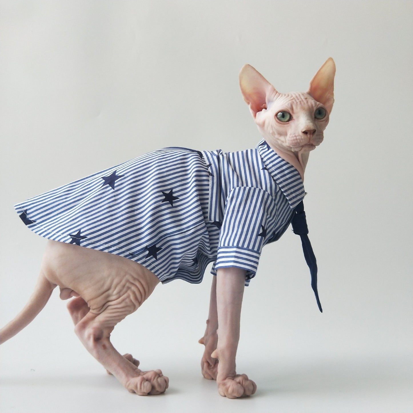 Thin cotton shirts are breathable; cat-themed clothing.