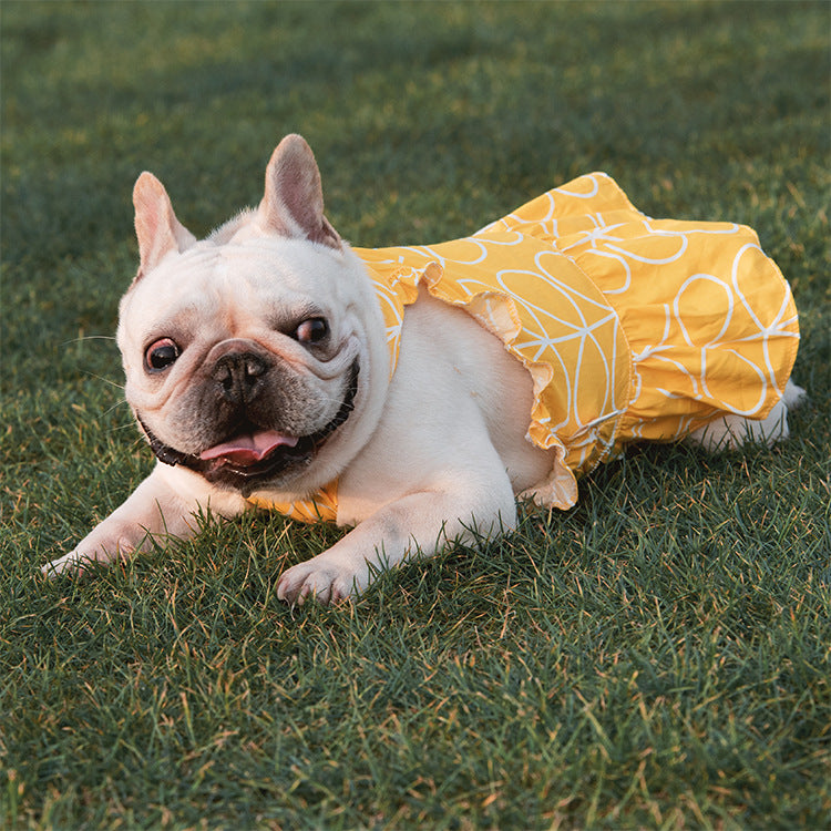 Pet dresses, dog clothes