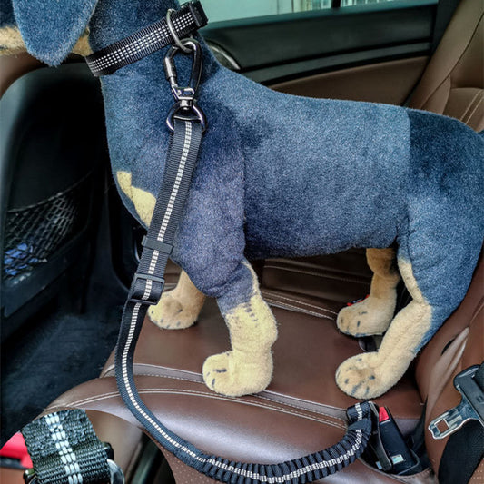 Retractable dog leash/car seatbelt