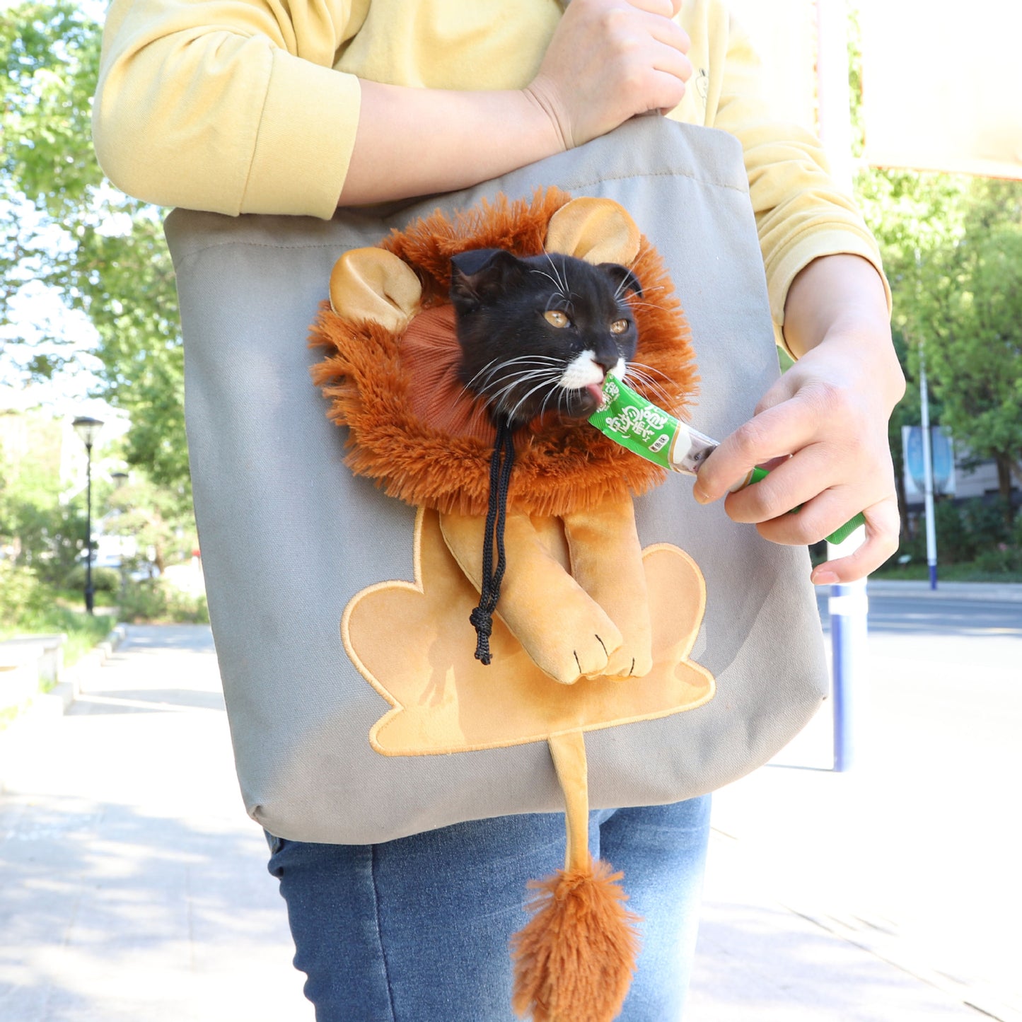 Soft pet carrier, portable and breathable cat and dog carrier
