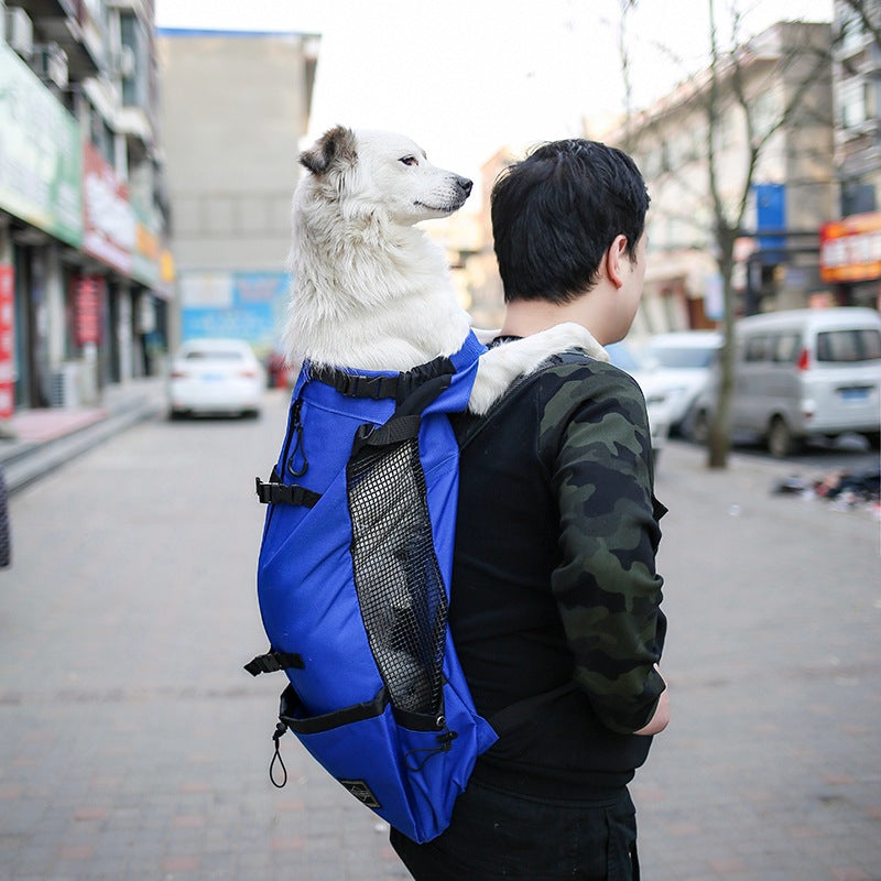 Double-shoulder travel dog carrier