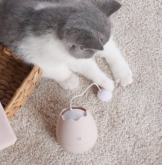 Cat crafts and cat toys