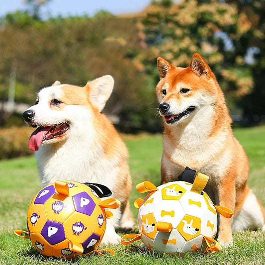 Interactive soccer ball for dogs, outdoor training ball, chewing and teething ball