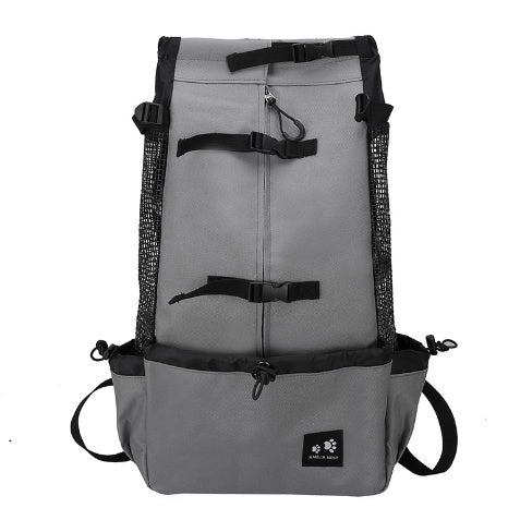 Double-shoulder travel dog carrier