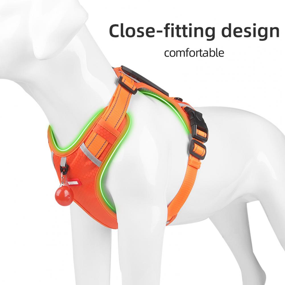Dog harness, outdoor running training
