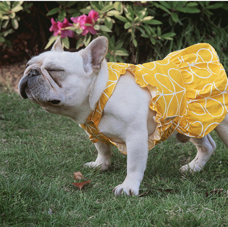 Pet dresses, dog clothes