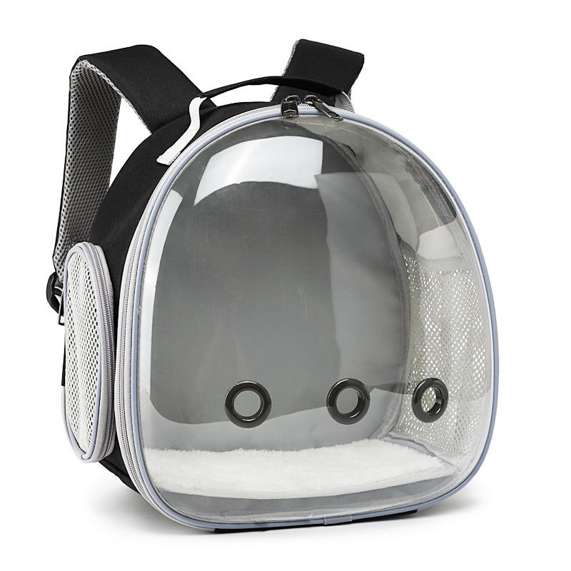 Transparent pet backpack, small animal bag