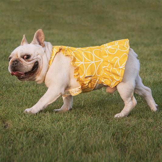Pet dresses, dog clothes